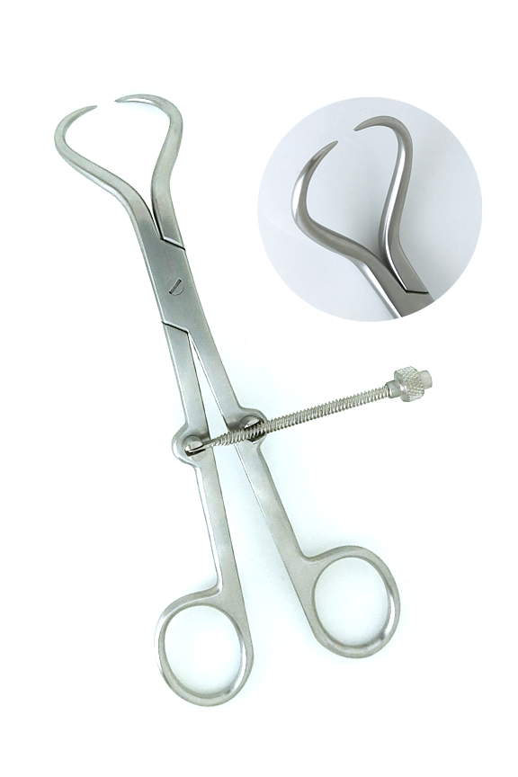 Bone Fragment Clamps
